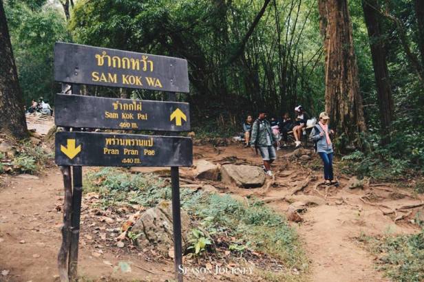40595715_1759524434101486_7230475420162850816_n